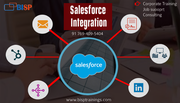 Salesforce Integration certification Training course | BISP