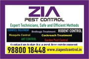 Pest control effective pest control services Anti Termite 